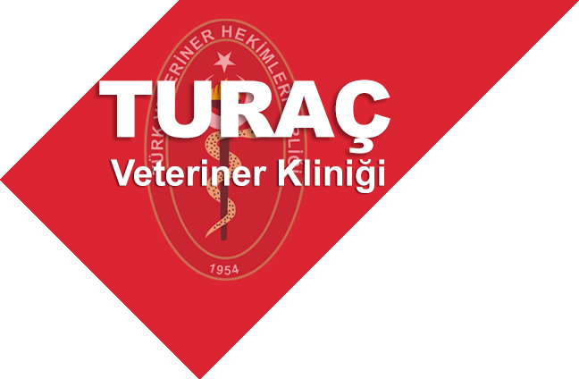 Turaç veteriner kliniği